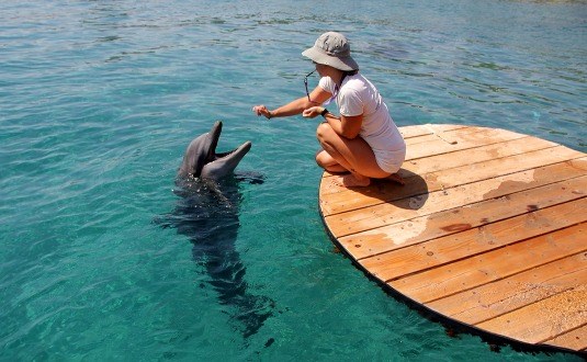 אטרקציות ימיות באילת שהן חלק בלתי נפרד מהעיר  