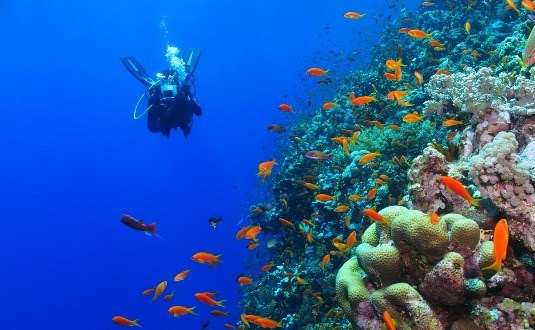האם אטרקציות הים באילת מתאימות למשפחות עם ילדים? 