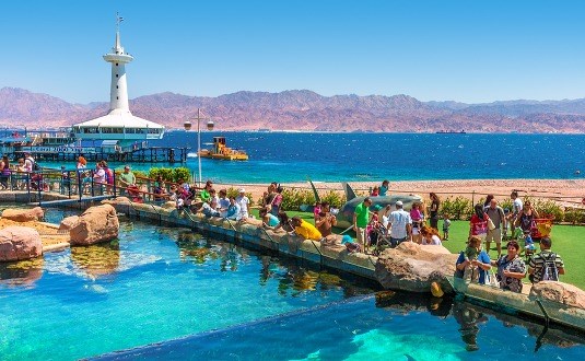 אטרקציות ימיות באילת – גם בחורף!  