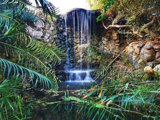 הגן הבוטני באילת