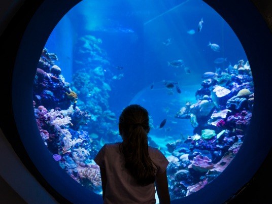 המצפה התת ימי באילת