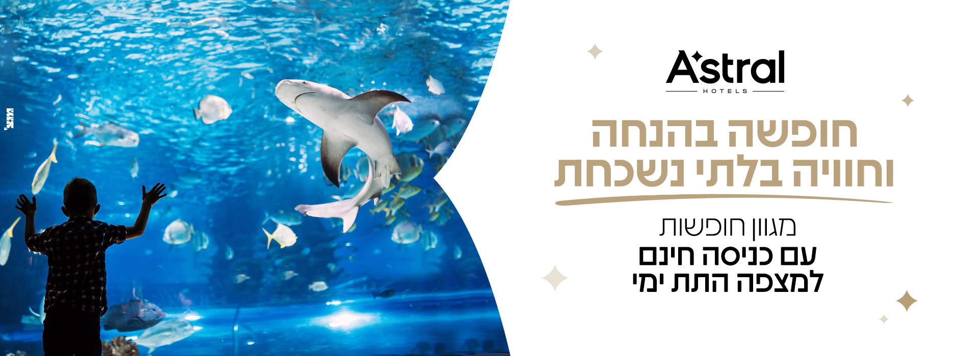 דילים עם המצפה התת ימי